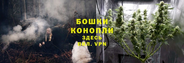 сатива Армянск