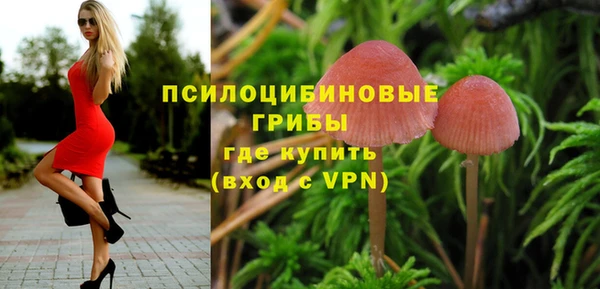 Альфа ПВП Арсеньев