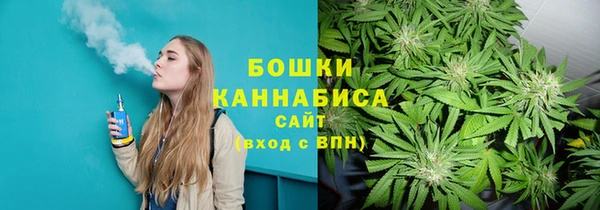 сатива Армянск